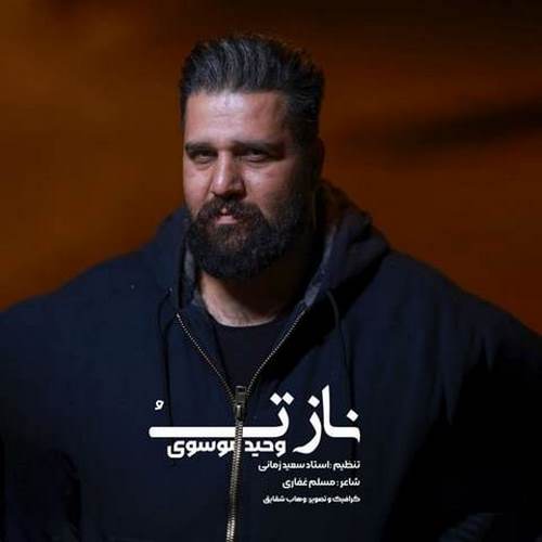 دانلود آهنگ ناز تو وحید موسوی