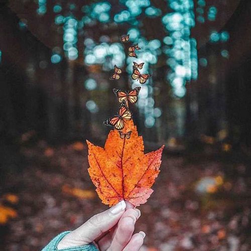 دانلود آهنگ atlxs passo bem solto