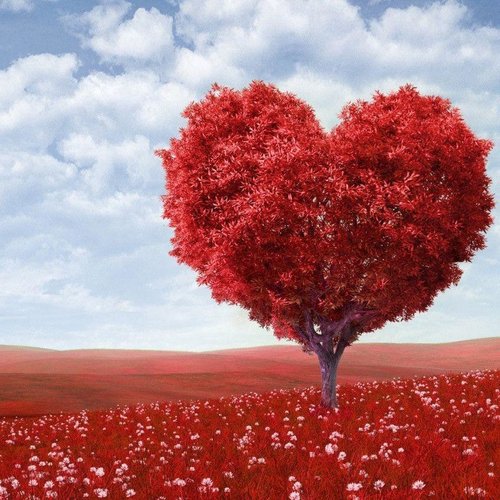 دانلود آهنگ شب خوبه برا ما اما ریمیکس