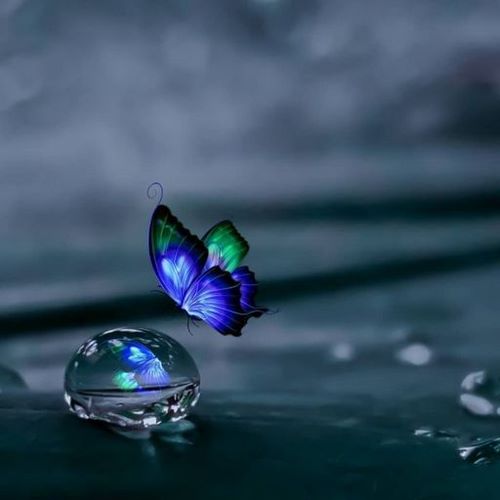 دانلود آهنگ خیلی سخته تی ام
