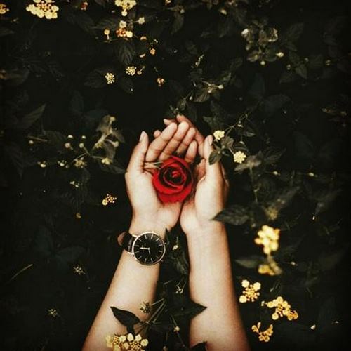 دانلود آهنگ قطره قطره اشک چشمم میچکد ریمیکس