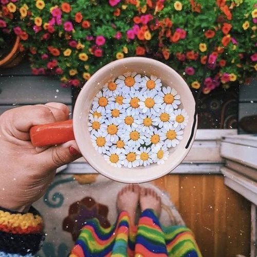 دانلود آهنگ خدایا مرسی عشقمو آفریدی