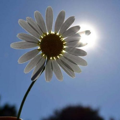 دانلود آهنگ زود باش ها کن این تو ها ها کن نکش هی تو