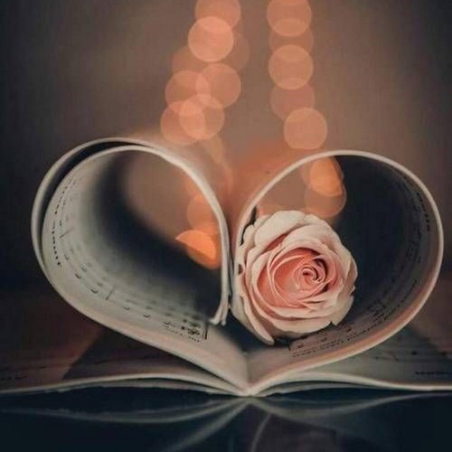 دانلود آهنگ حسم بهت لاوه حرفات برام ترن آنه