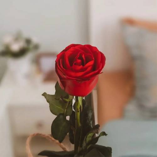 دانلود آهنگ بشم نذر چشای سیات