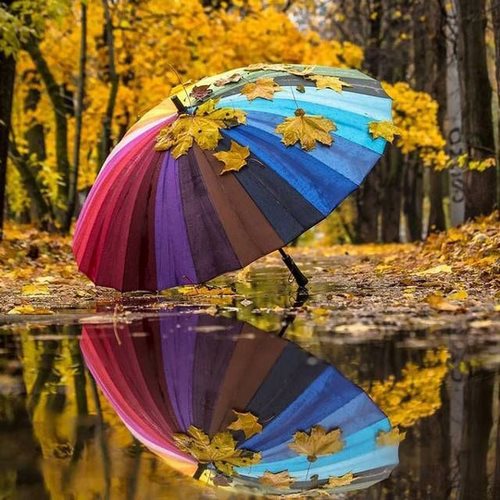دانلود آهنگ دست دست نکن ای مرده شور
