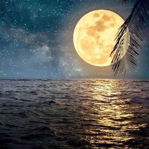 دانلود آهنگ اگه حتی بین ما فاصله یک نفسه