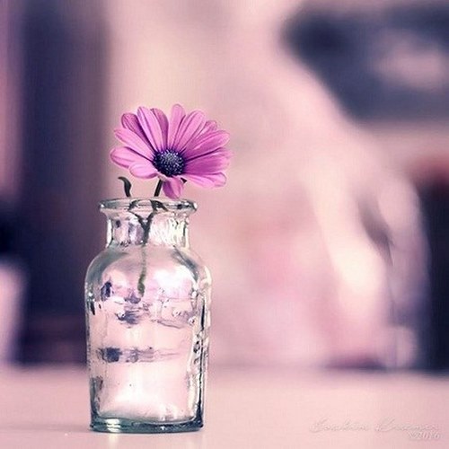 دانلود آهنگ دافی