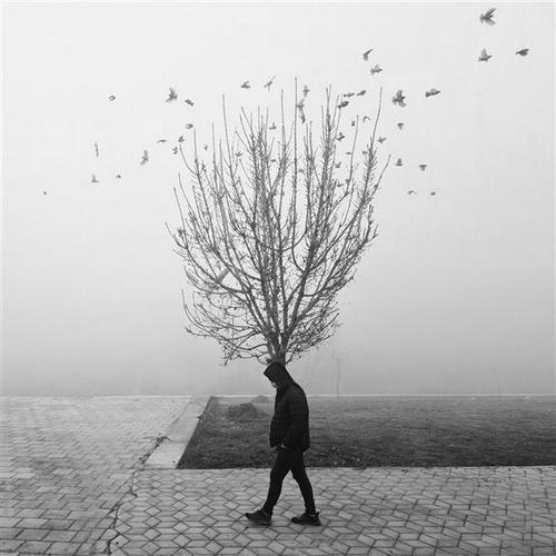 دانلود آهنگ فاطمه سلطان نمیری الهی خیر ببینی