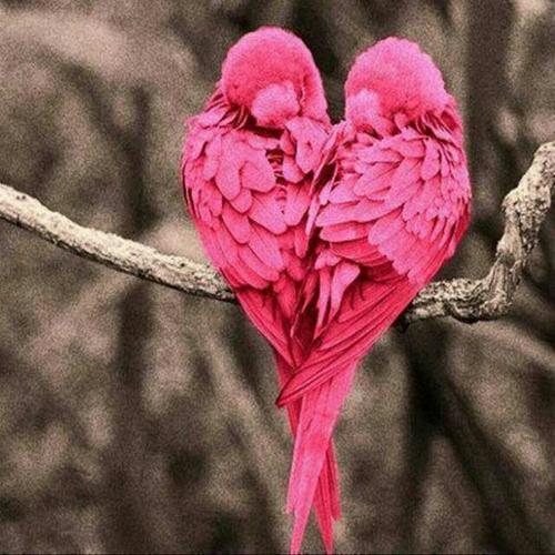 دانلود آهنگ داغ یک عشق قدیمو