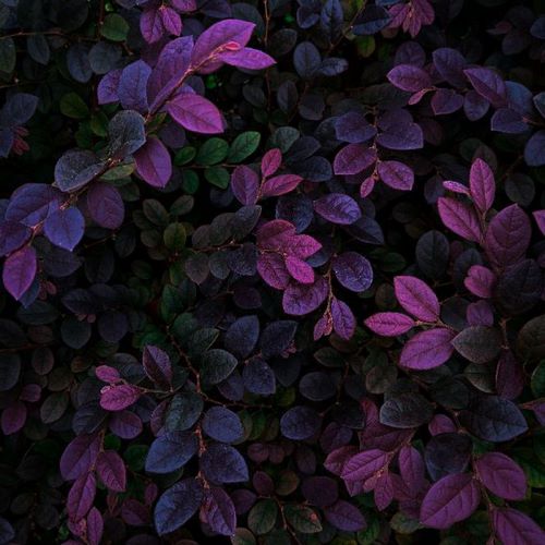 دانلود آهنگ مردی تو صبر داشته باش ریمیکس غمگین