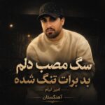 دانلود آهنگ سگ مصب دلم بد برات تنگ شده دانلود آهنگ سگ مصب دلم بد برات تنگ شده