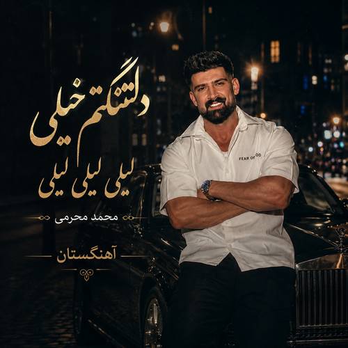 دانلود آهنگ دلتنگتم خیلی لیلی لیلی لیلی