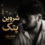 دانلود آهنگ شروین پتک