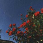 دانلود آهنگ بگی مامان بگم جونم مامان